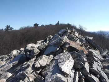 Waggoners Gap Hawkwatch