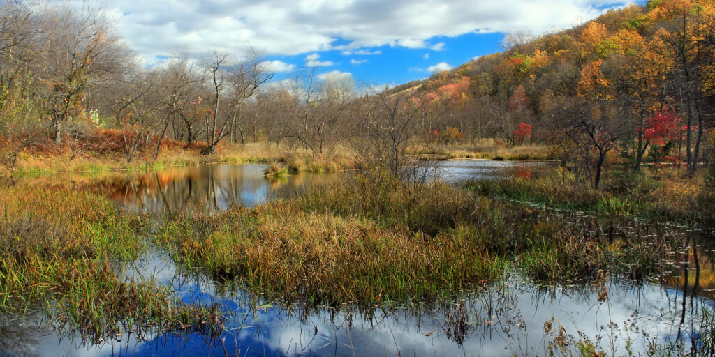 Lehigh Gap—Superfund Site to Nature Refuge - Kittatinny Ridge