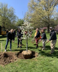 Tree Planting